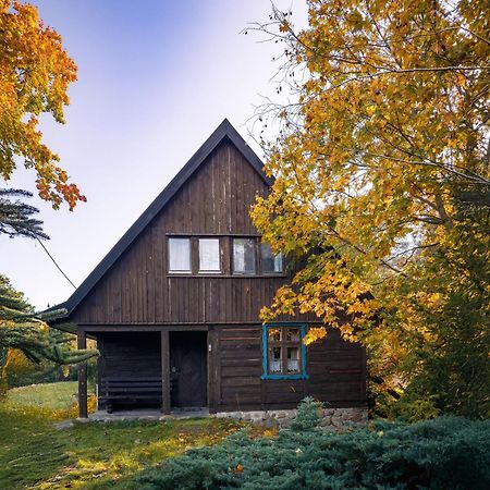 Dom Pod Klonem Na Kaszubach Villa Koscierzyna Exterior photo