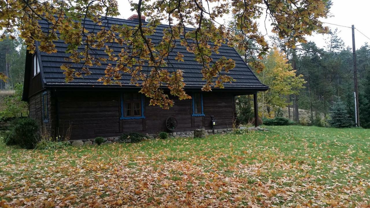 Dom Pod Klonem Na Kaszubach Villa Koscierzyna Exterior photo